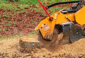 Best Tree Mulching Services  in USA